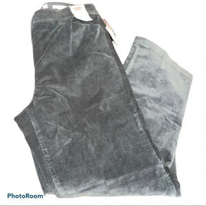 Northern  Reflections Grey corduroy Essential Stretch pants Sz 6